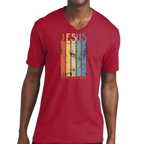 Mens V-Neck Graphic Tee T-Shirt Jesus The Truth The Way The Life,